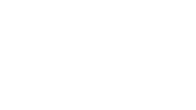 Oktopay